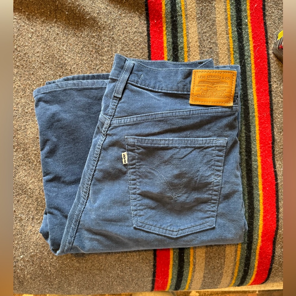 Women's Ribcage Bell Corduroy Blue Pant